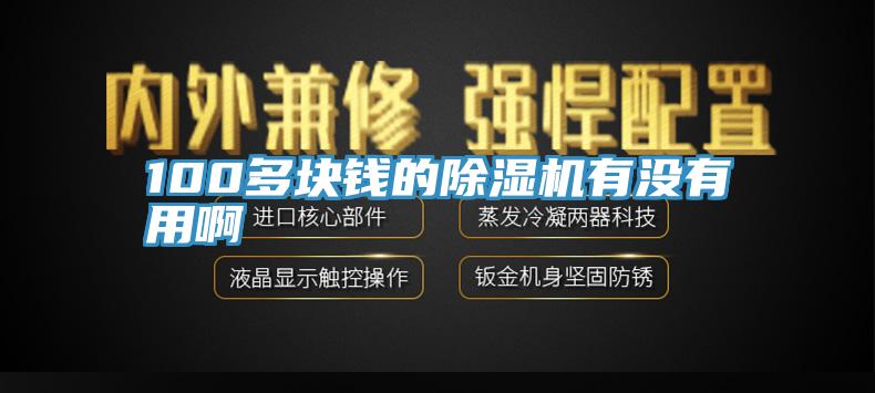 100多塊錢的除濕機有沒有用啊