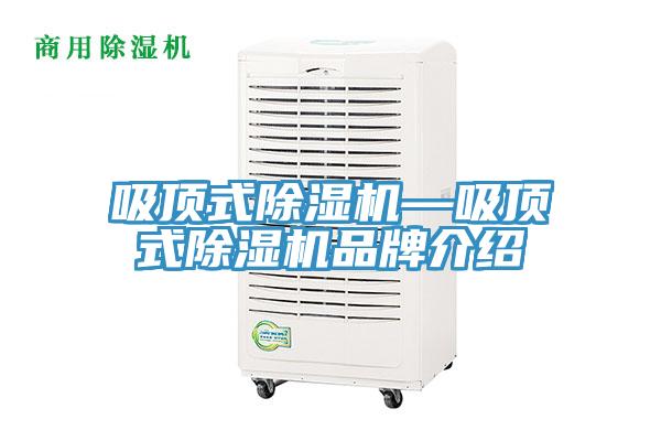 吸頂式除濕機—吸頂式除濕機品牌介紹