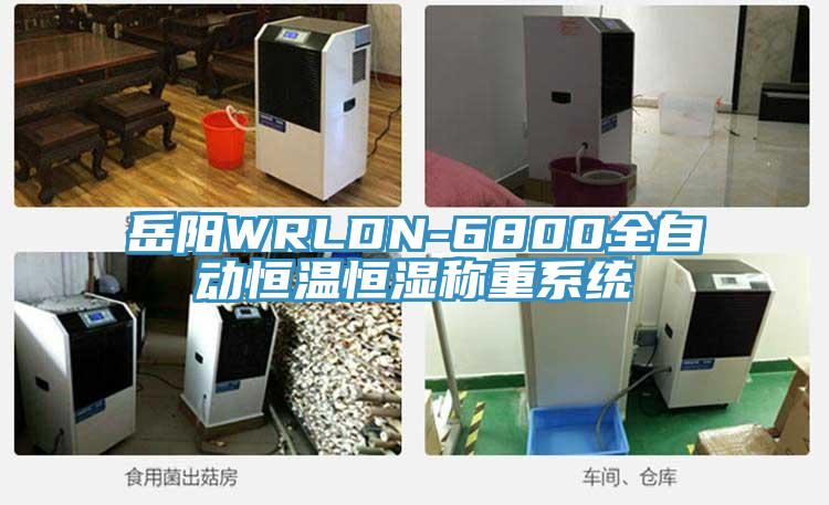 岳陽WRLDN-6800全自動恒溫恒濕稱重系統