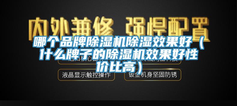 哪個品牌除濕機除濕效果好（什么牌子的除濕機效果好性價比高）