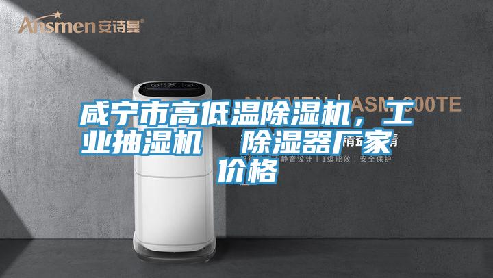 咸寧市高低溫除濕機，工業抽濕機  除濕器廠家 價格