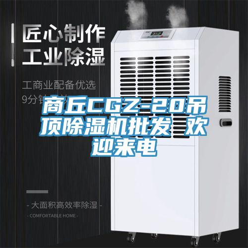 商丘CGZ-20吊頂除濕機批發(fā) 歡迎來電