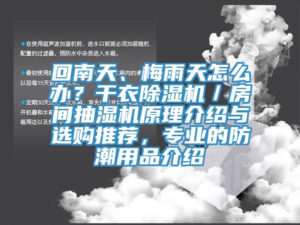 回南天、梅雨天怎么辦？干衣除濕機／房間抽濕機原理介紹與選購推薦，專業的防潮用品介紹