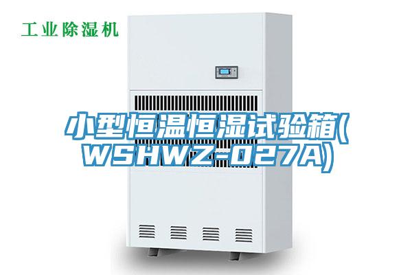 小型恒溫恒濕試驗(yàn)箱(WSHWZ-027A)