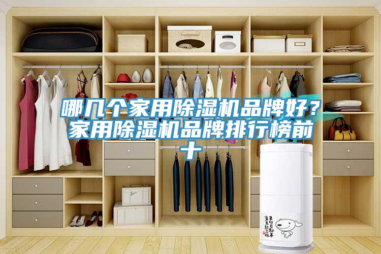 哪幾個家用除濕機品牌好？家用除濕機品牌排行榜前十