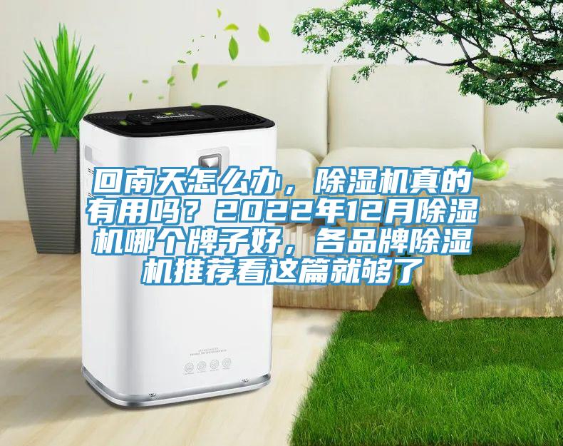 回南天怎么辦，除濕機真的有用嗎？2022年12月除濕機哪個牌子好，各品牌除濕機推薦看這篇就夠了