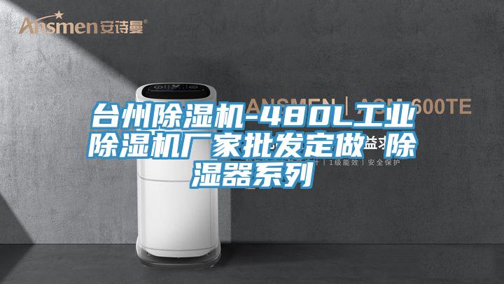 臺州除濕機-480L工業除濕機廠家批發定做 除濕器系列