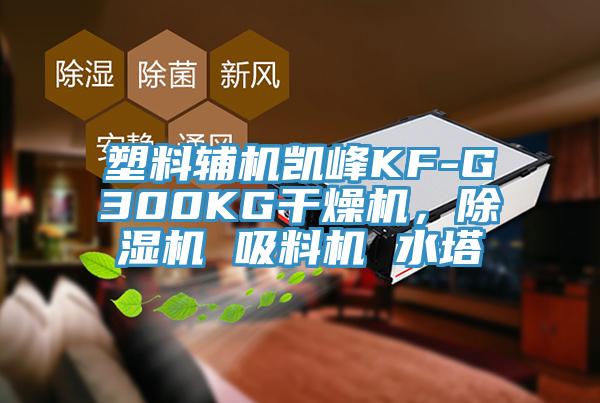 塑料輔機凱峰KF-G300KG干燥機，除濕機 吸料機 水塔