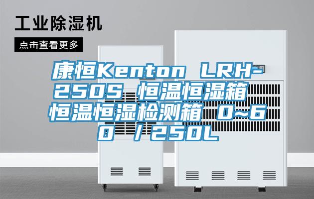 康恒Kenton LRH-250S 恒溫恒濕箱 恒溫恒濕檢測箱 0~60℃／250L