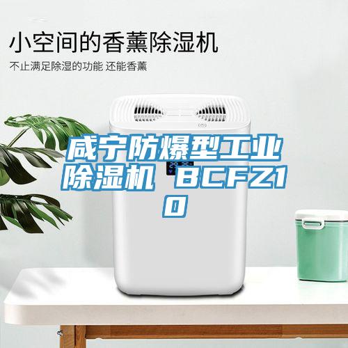 咸寧防爆型工業除濕機 BCFZ10