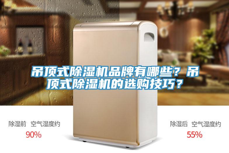 吊頂式除濕機品牌有哪些？吊頂式除濕機的選購技巧？