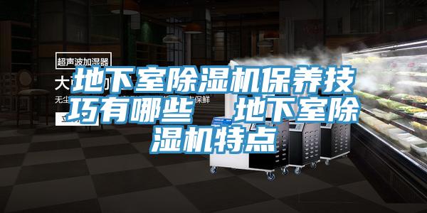 地下室除濕機保養(yǎng)技巧有哪些  地下室除濕機特點