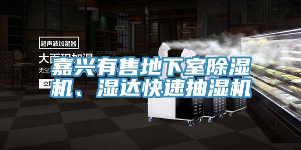 嘉興有售地下室除濕機、濕達快速抽濕機