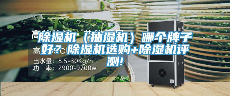 除濕機（抽濕機）哪個牌子好？除濕機選購+除濕機評測!