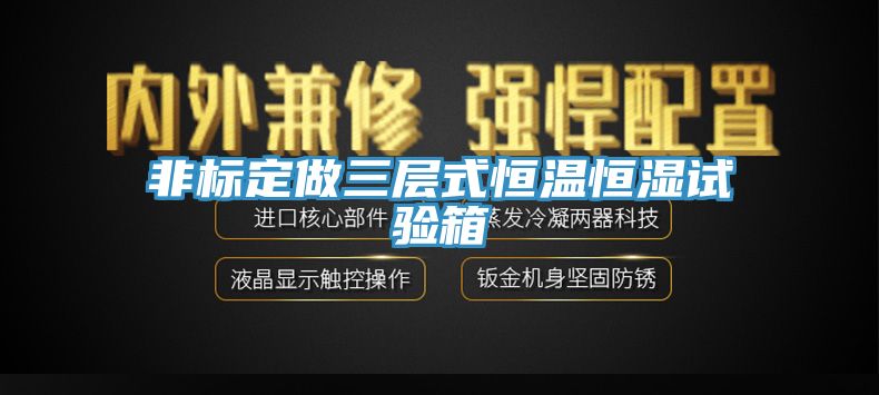 非標定做三層式恒溫恒濕試驗箱