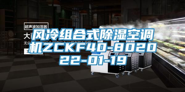 風冷組合式除濕空調機ZCKF40-802022-01-19