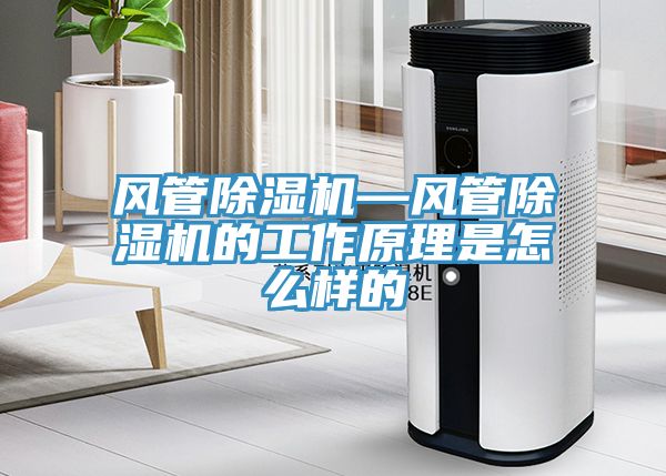 風管除濕機—風管除濕機的工作原理是怎么樣的