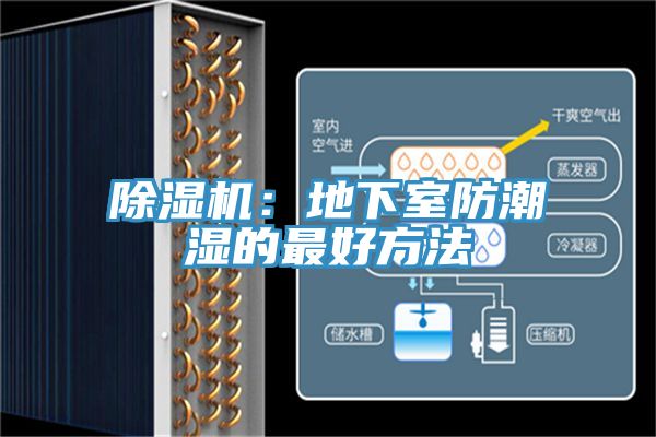 除濕機：地下室防潮濕的最好方法