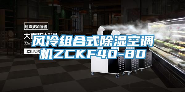 風冷組合式除濕空調機ZCKF40-80