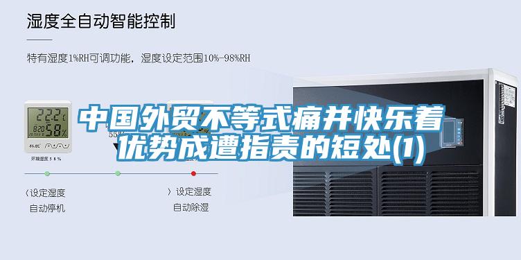 中國外貿不等式痛并快樂著 優勢成遭指責的短處(1)