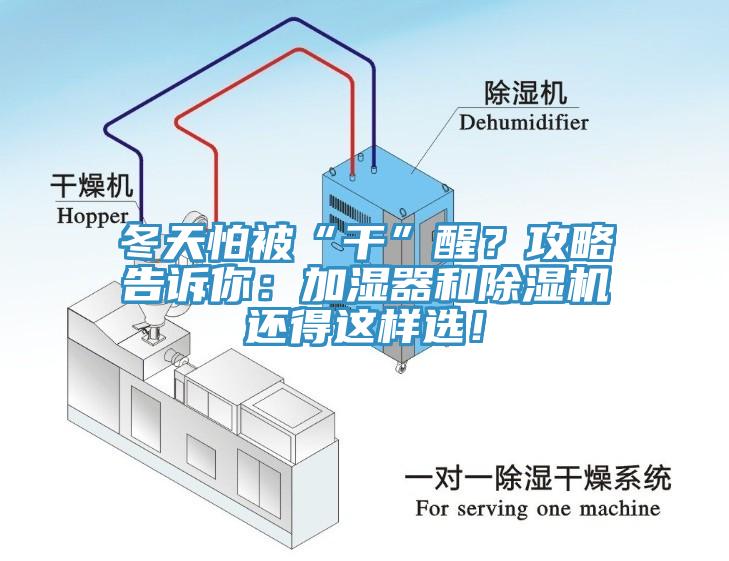 冬天怕被“干”醒？攻略告訴你：加濕器和除濕機還得這樣選！